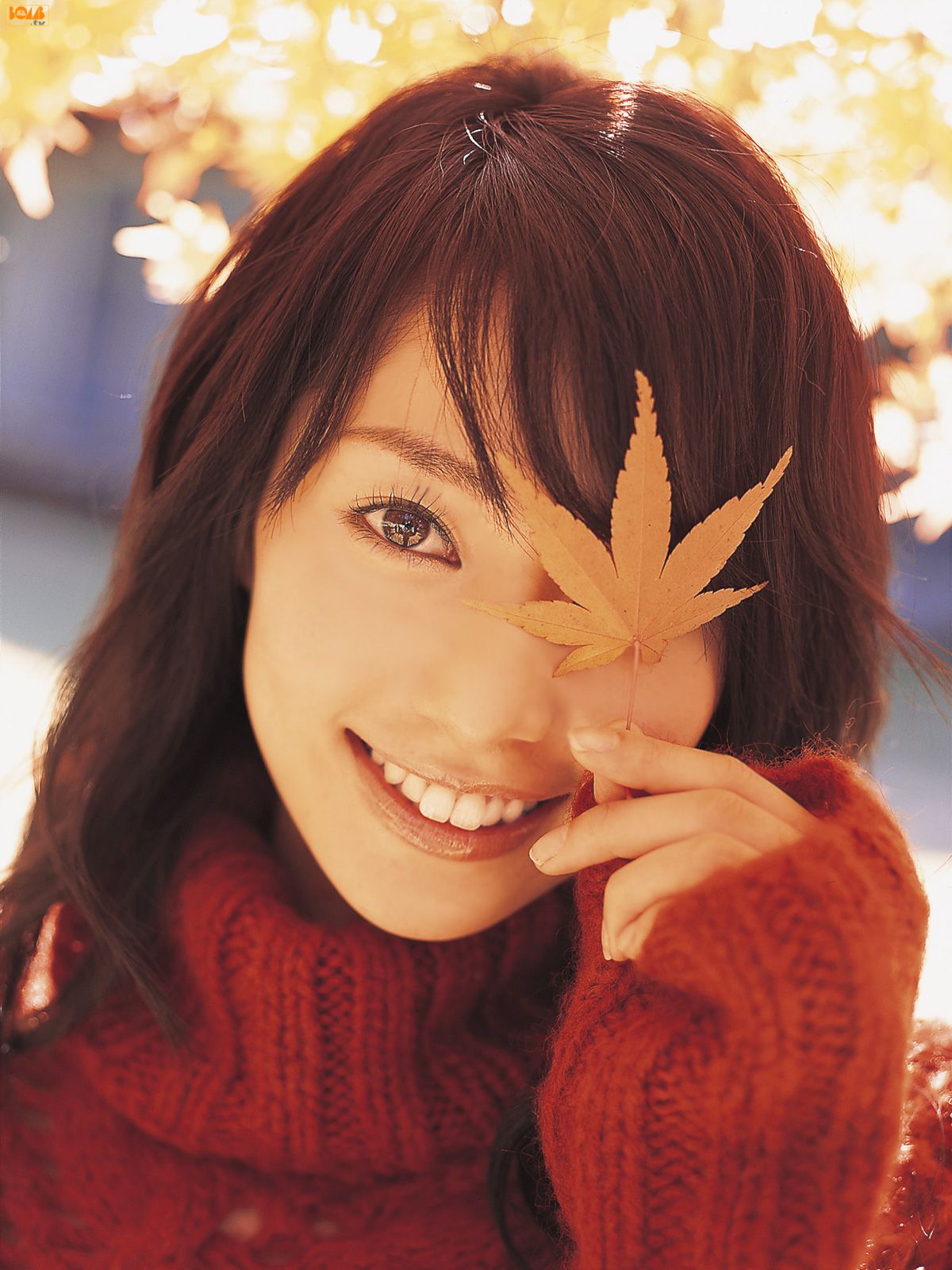 M940-[Bomb.TV] 2008年06月刊 谷桃子 Momoko Tani - 94零社区 Bomb.TV-第1张