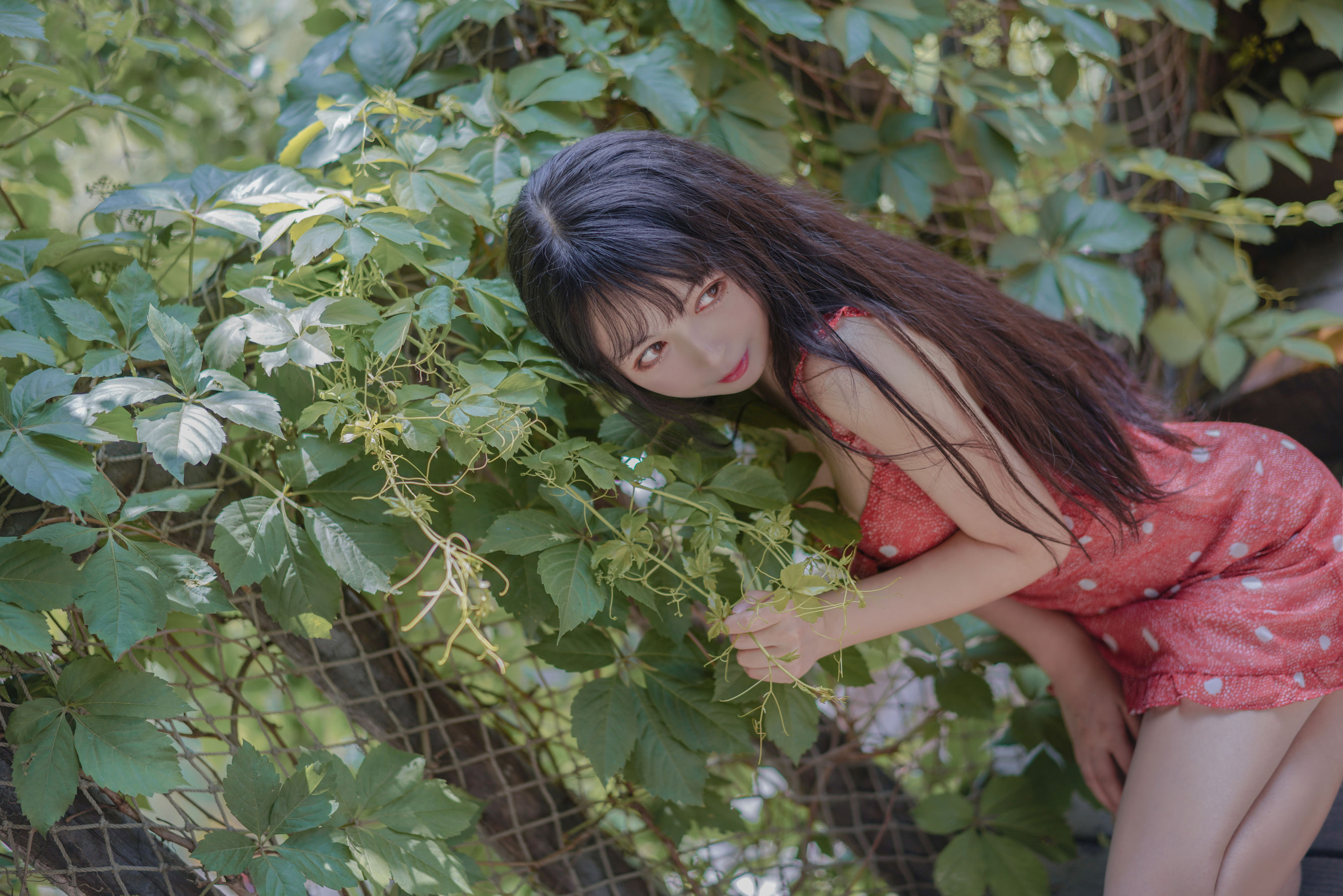 [Cosplay写真] 大眼萌妹黑猫猫OvO – 草莓 Cosplay-第1张