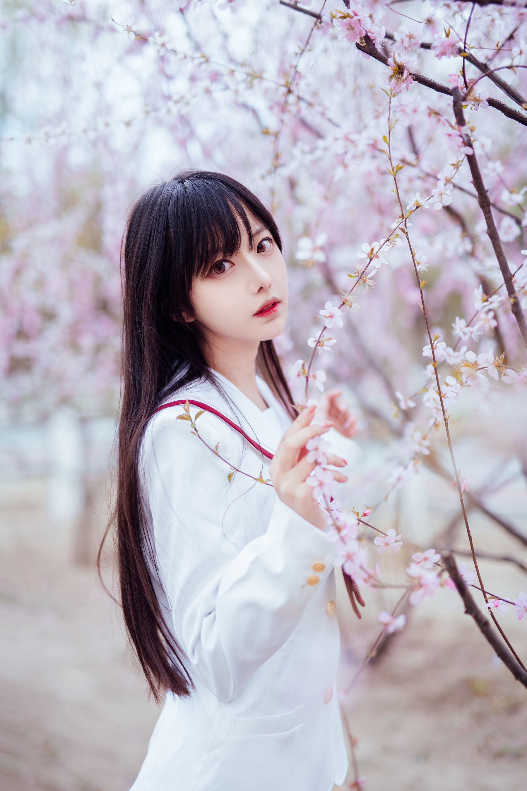 Shika小鹿鹿 – 樱花 Cosplay-第1张