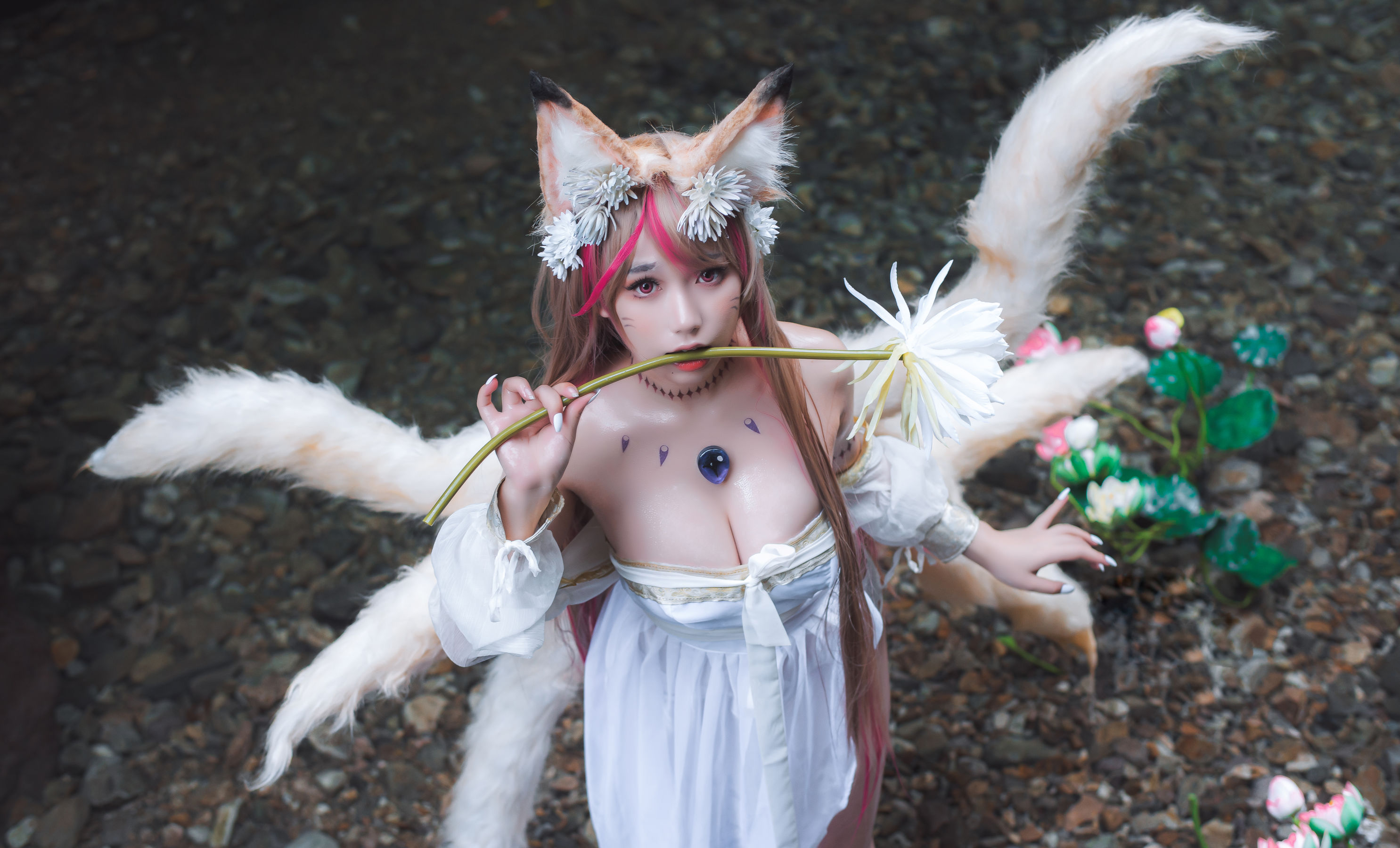 一北亦北 – 天命之子 玉藻前原皮 Cosplay-第2张