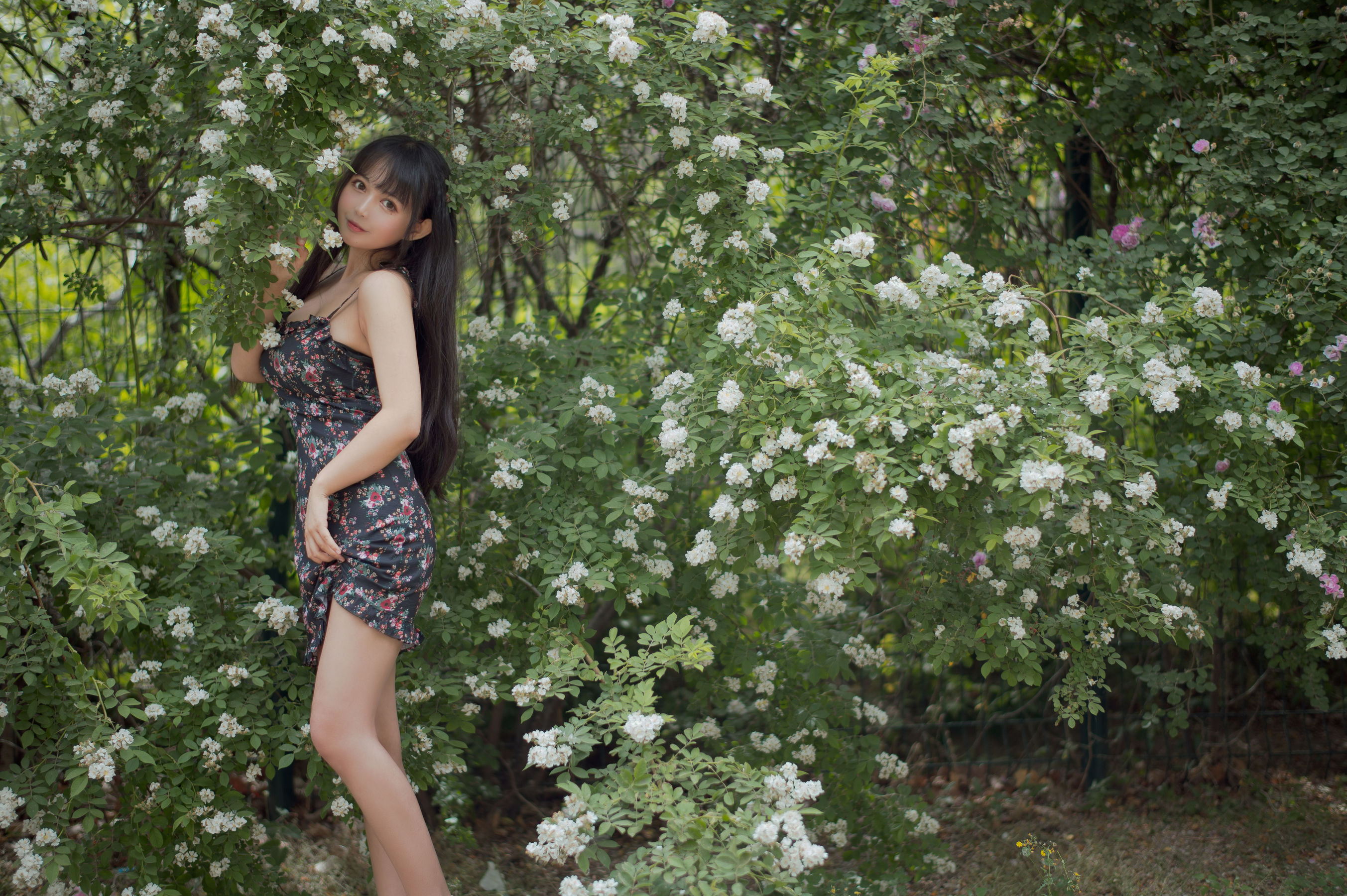 大眼萌妹黑猫猫OvO – 蔷薇1 Cosplay-第1张