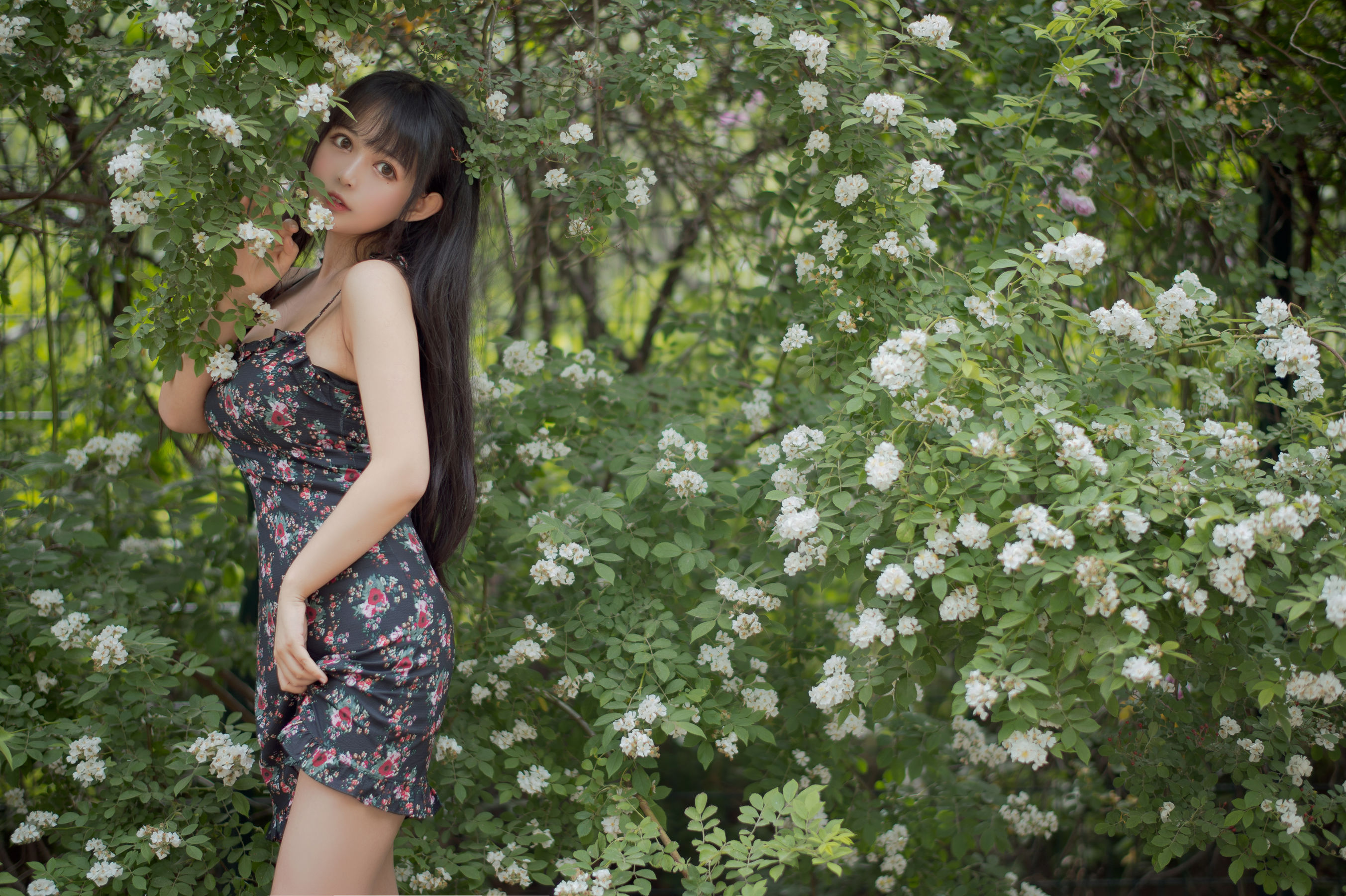 大眼萌妹黑猫猫OvO – 蔷薇1 Cosplay-第22张