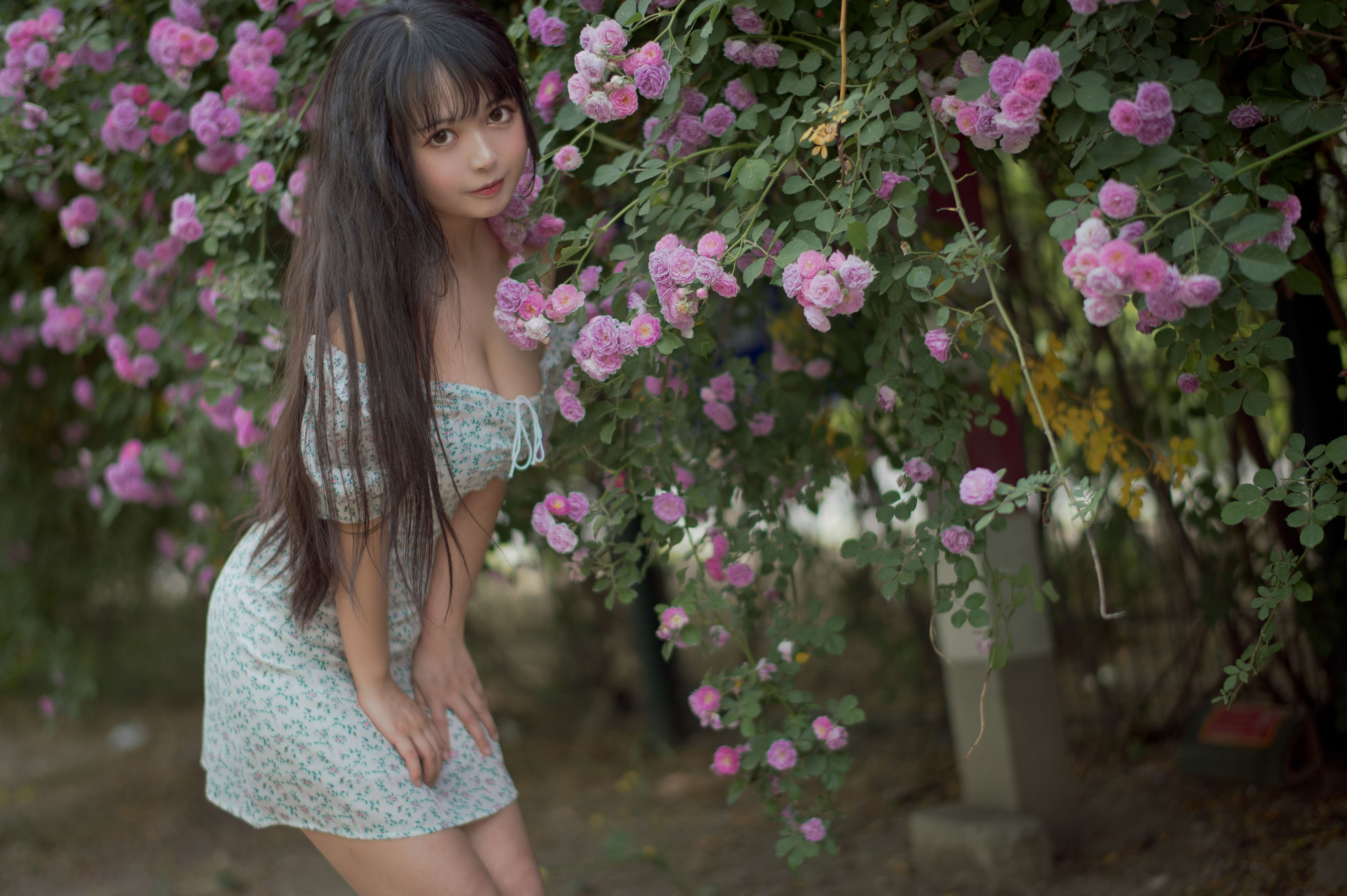 大眼萌妹黑猫猫OvO – 蔷薇2 Cosplay-第1张