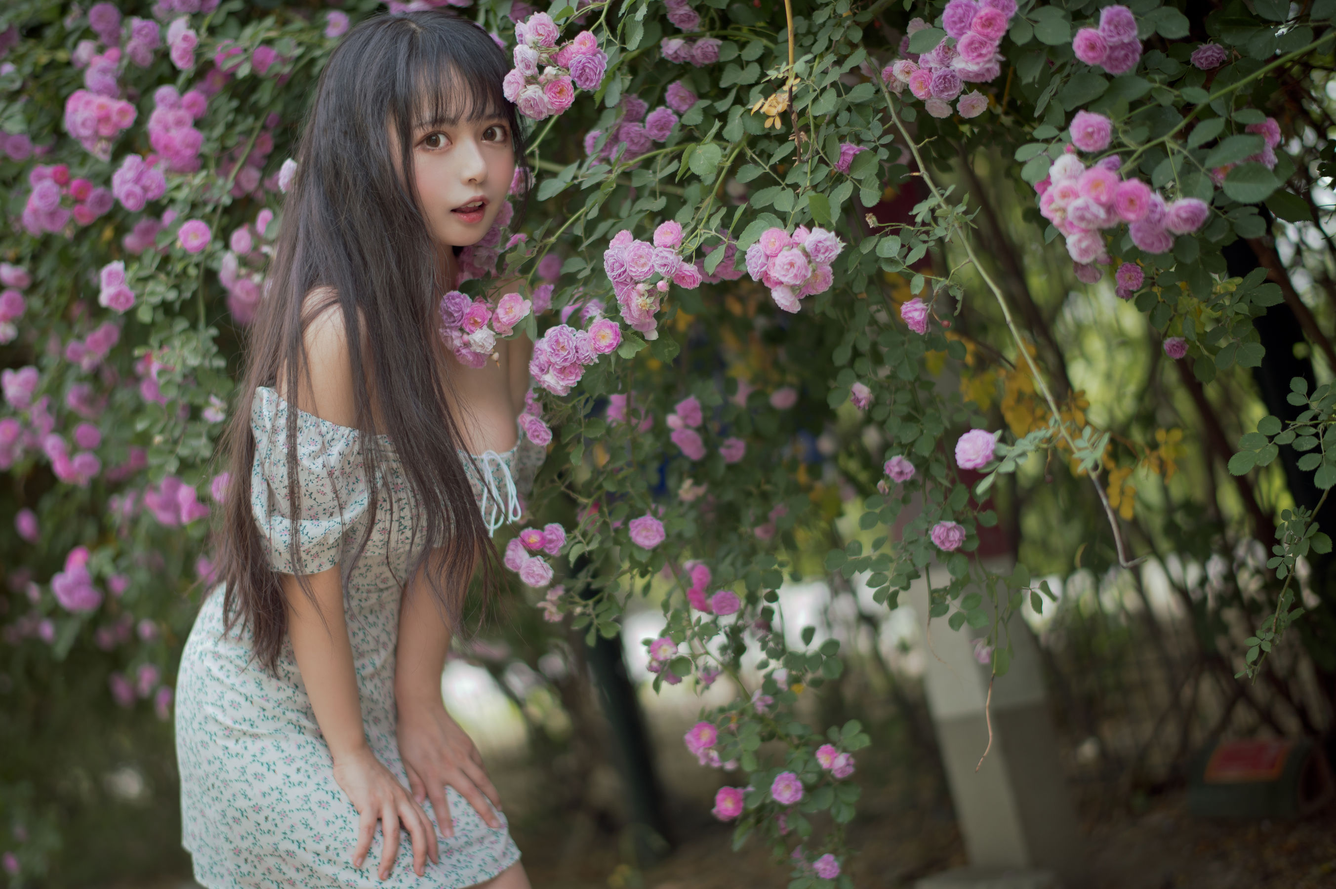 大眼萌妹黑猫猫OvO – 蔷薇2 Cosplay-第2张