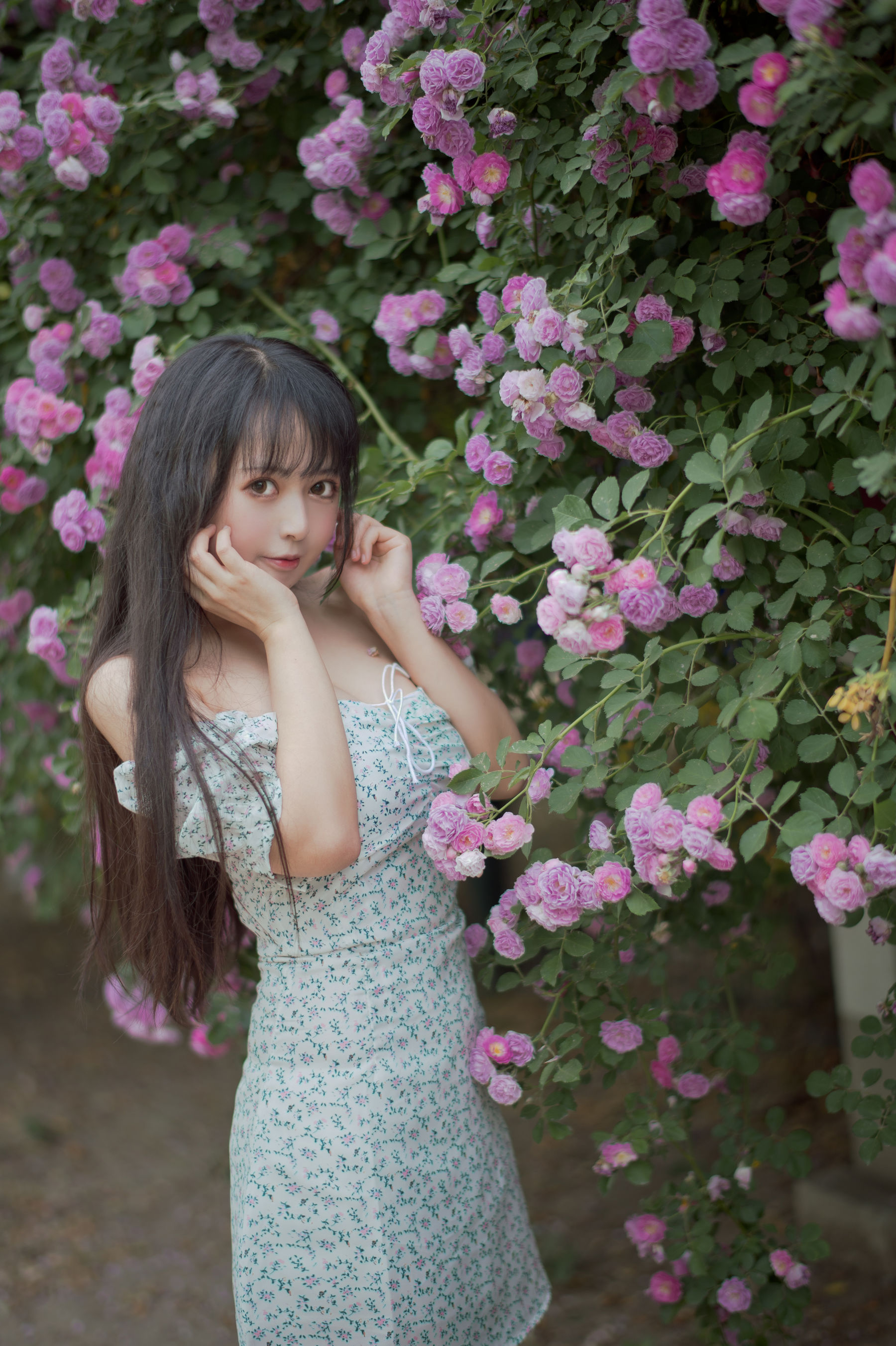 大眼萌妹黑猫猫OvO – 蔷薇2 Cosplay-第3张