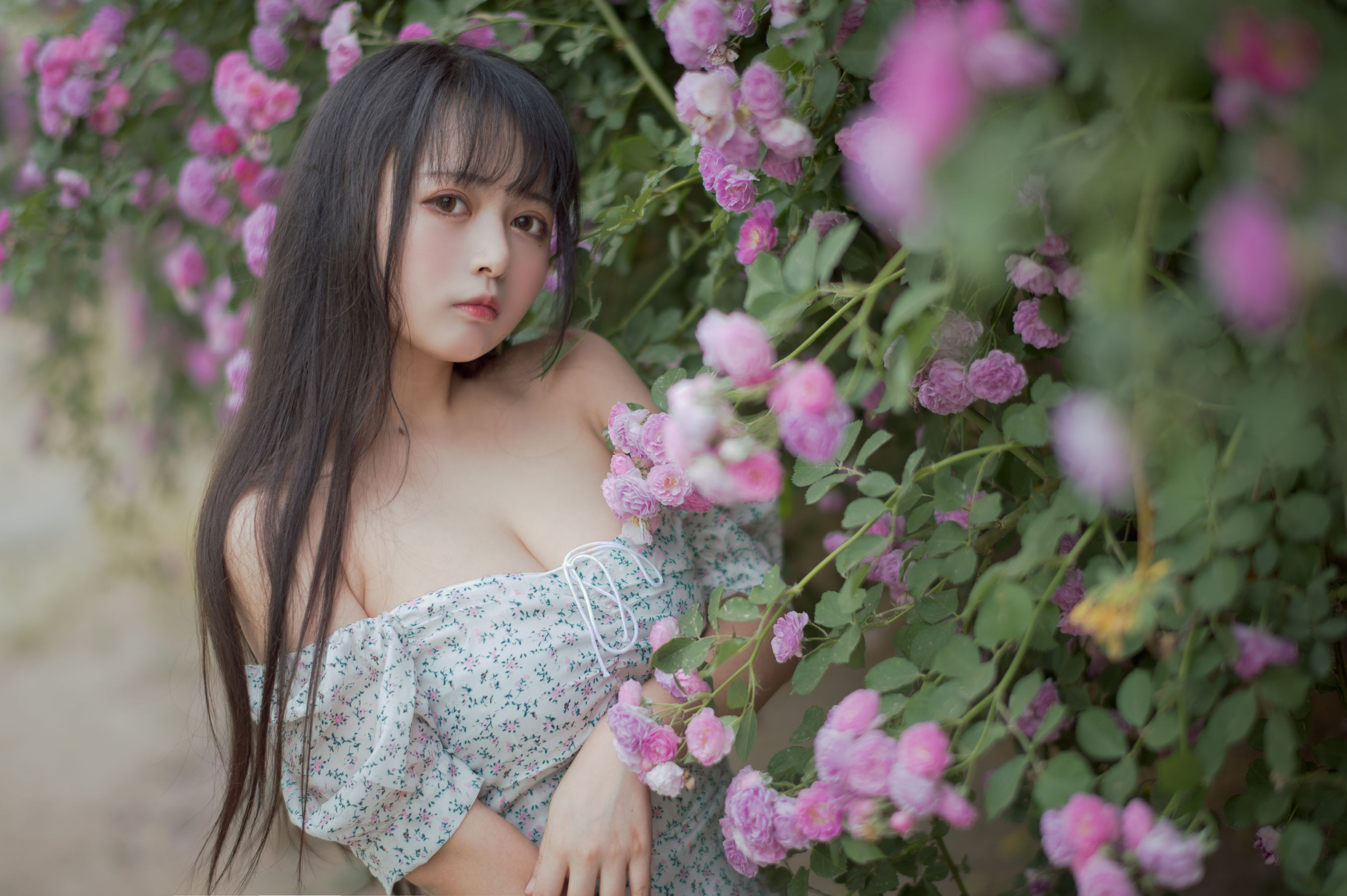 大眼萌妹黑猫猫OvO – 蔷薇2 Cosplay-第6张