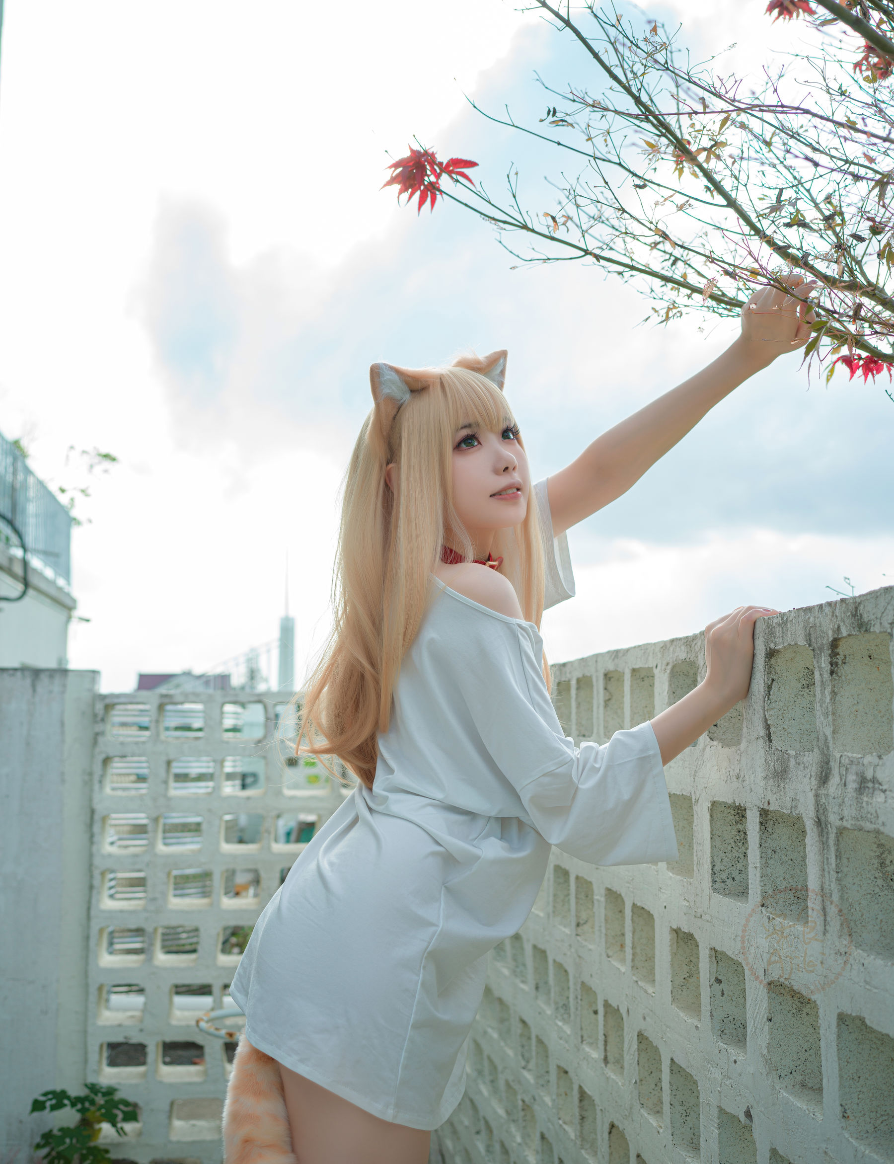 安食Ajiki – 黄豆粉 Cosplay-第6张