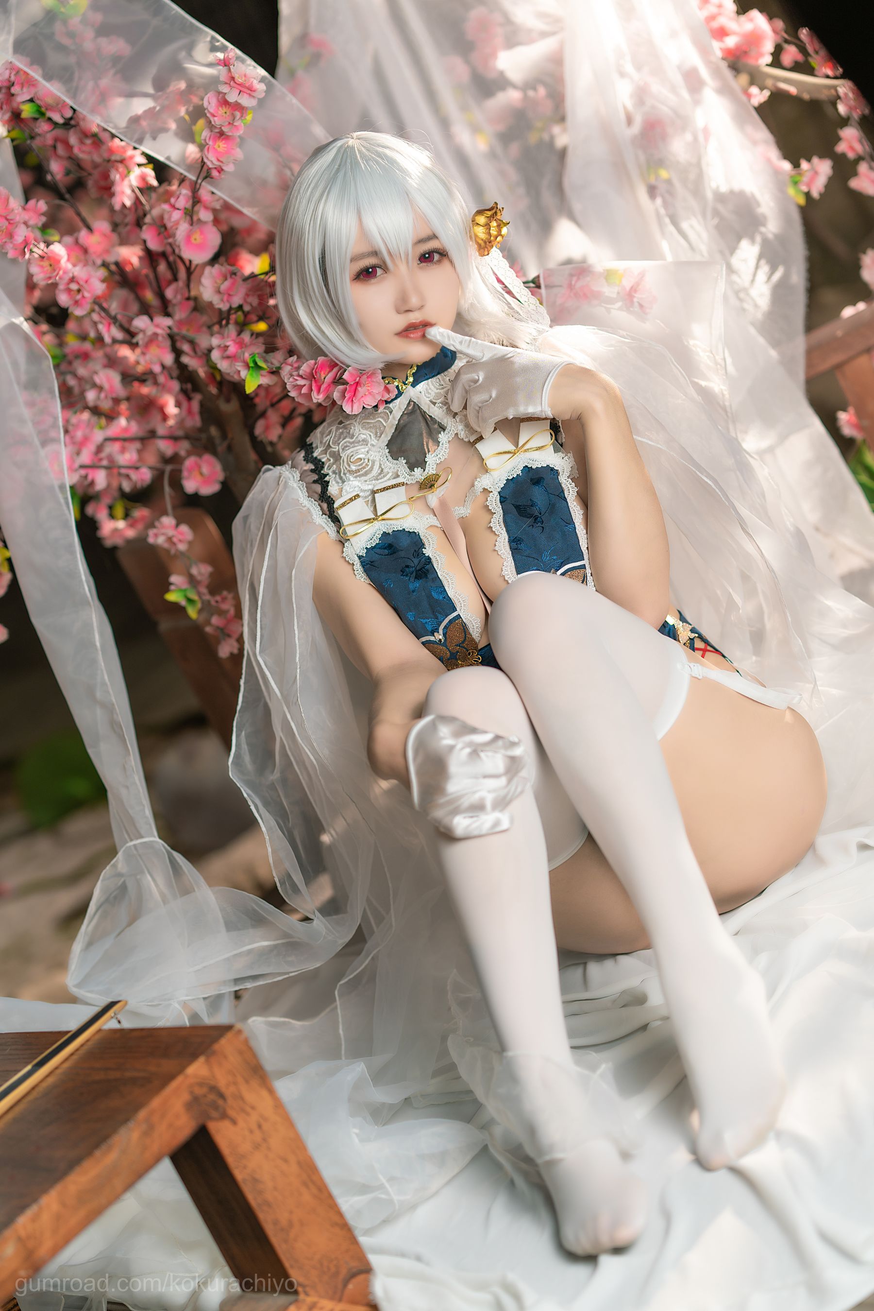 动漫博主小仓千代w – 天狼星旗袍 Cosplay-第1张
