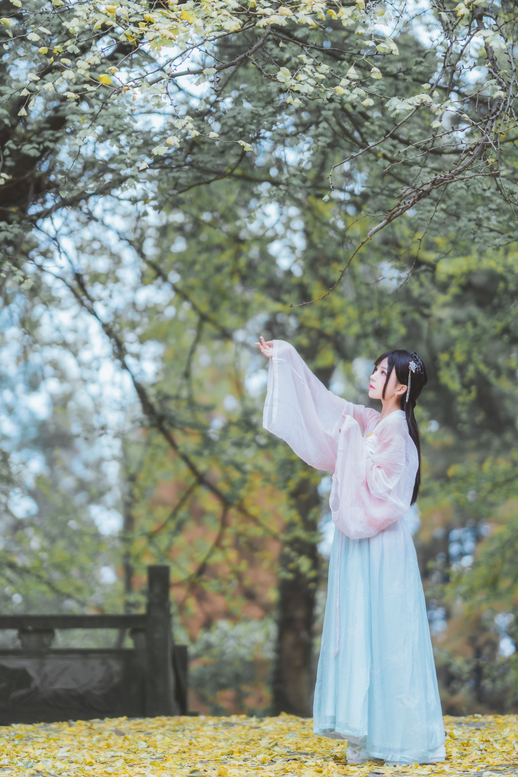 桜桃喵 – 温柔之汉服银杏 Cosplay-第6张